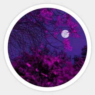 Moon Light and Pink Tree Sticker